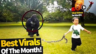 Viral Videos of the month June (2020)