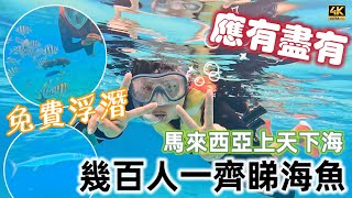 #Mangohk 803 幾百人一齊浮潛｜竟然係免費｜馬來西亞上天下海乜都有 🇲🇾 Free Snorkeling in Redang Malaysia