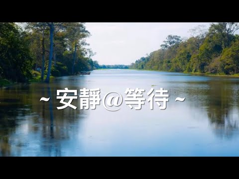 靈修旅程第343天 安靜@等候 ‭‭經文：‭‭ ‭‭詩篇62:1-12