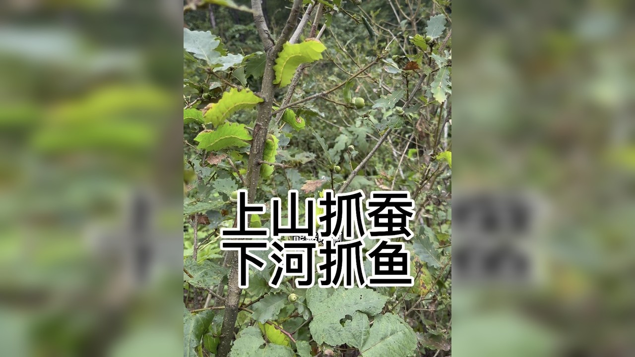 简简单单又是一餐