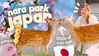 THE MOST MAGICAL PLACE IN JAPAN?  Seeing THOUSANDS of Wild Roaming Deer Park in Nara Park, Japan!