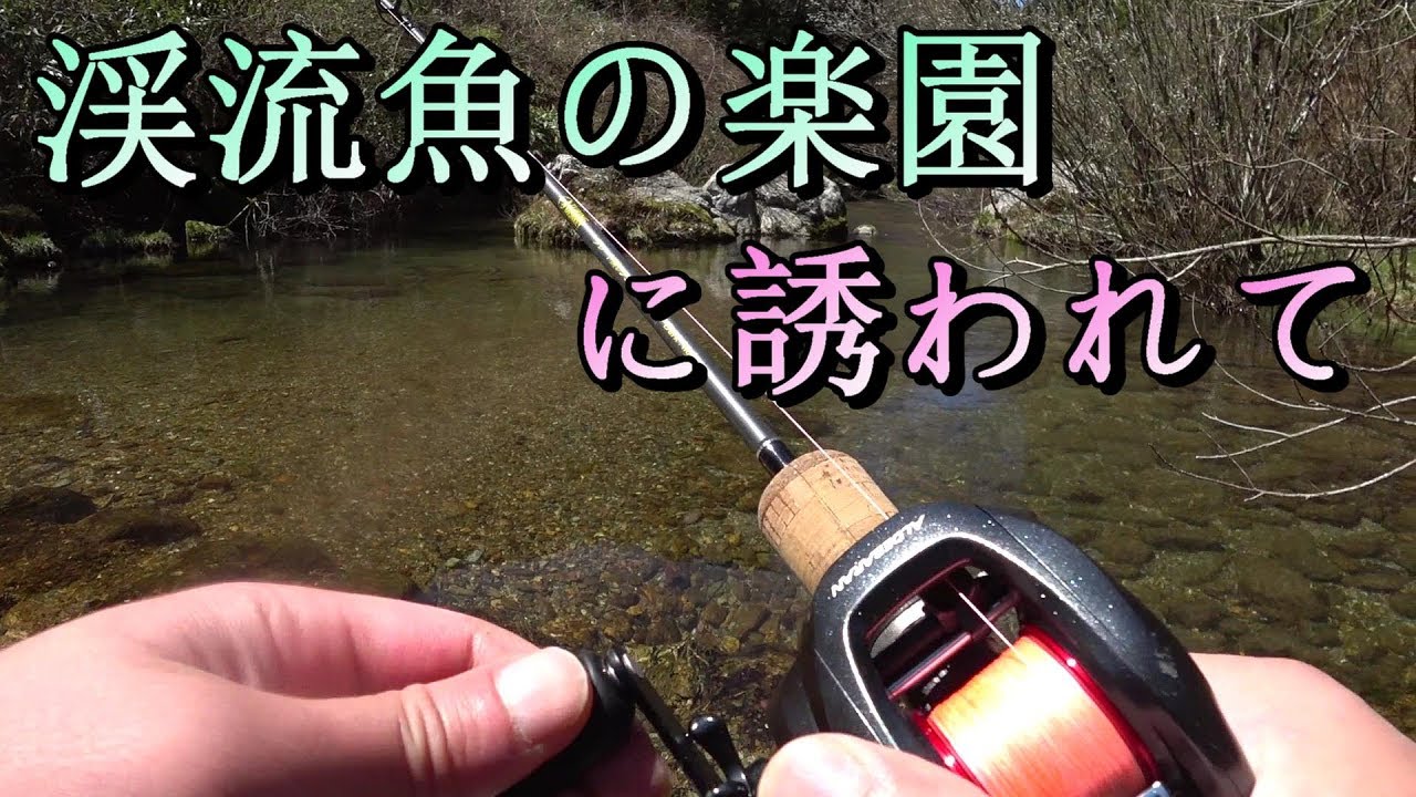 渓流ベイトフィネス トラウトの楽園に誘われて 川釣り初心者がイワナ アマゴを狙う 後編 Youtube