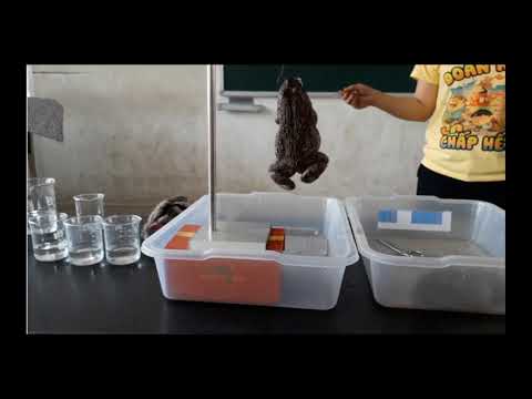 Video Khối 8 - Sinh học - Bài 44: Thực hành tìm hiểu chức... - YouTube