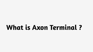 What is Axon Terminal 