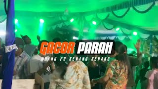DJ GACOR PARAH MAUMERE PARTY BEGER NGERI