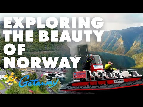Guest Experiences & Stories