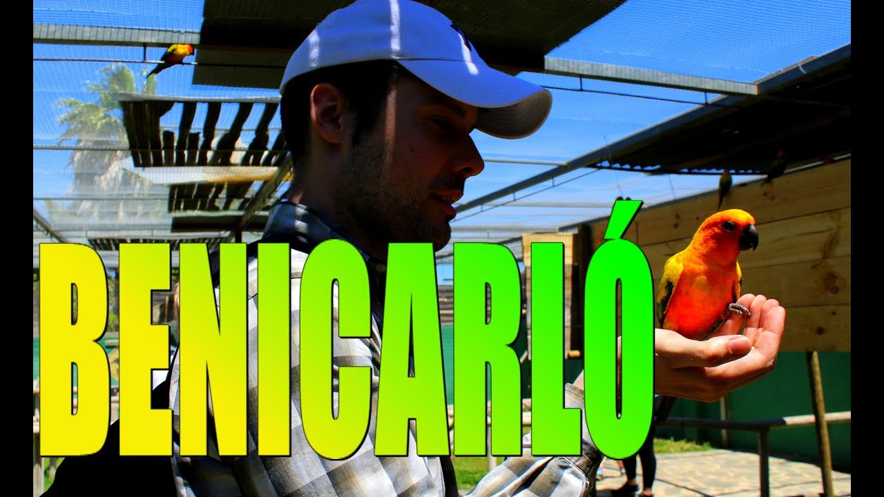 BENICARLÓ | España 🇪🇸