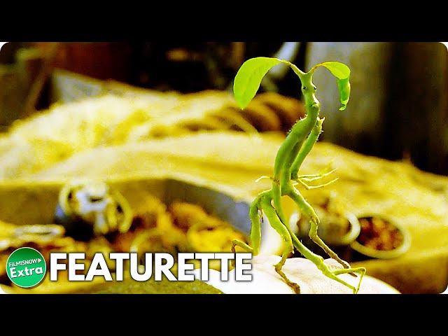 FANTASTIC BEASTS AND WHERE TO FIND THEM (2016) | Creatures