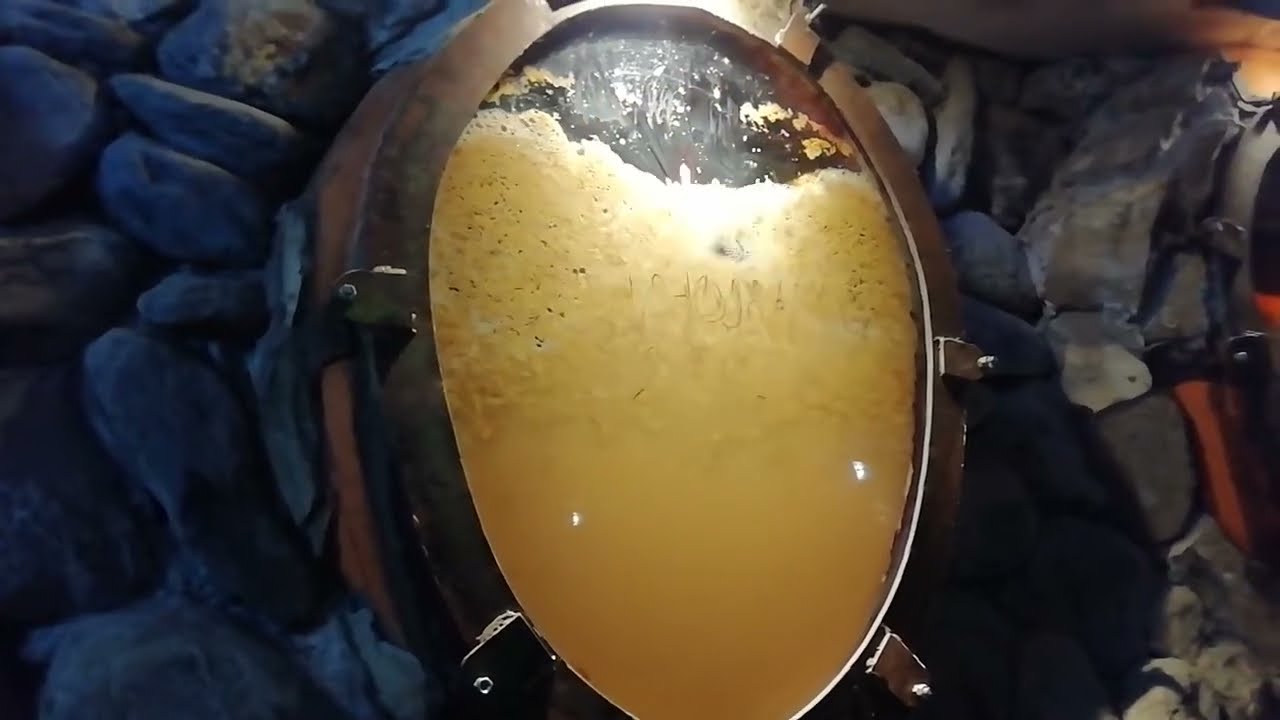 Traditional Grape Handling in Georgia 🍇