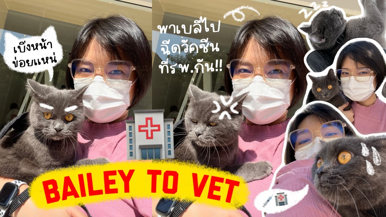 Bailey to the vet YouTube