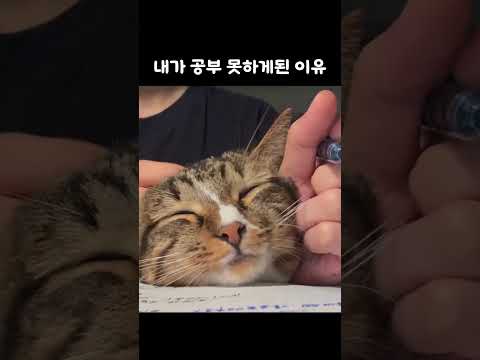 내가 서울대 못 간 이유 thumbnail
