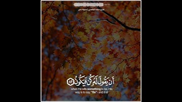 سعد الغامدي | حالات واتس اب دينية سورة يس 🥰💛