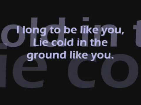 Evanescence - Like You ( Lyrics)