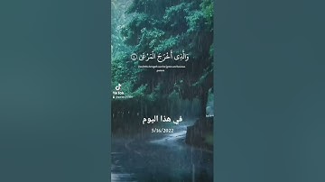 ما تيسر من القرآن الكريم آيات القرآن الكريم #edit #اكسبلور #dubai #لايك #love #راحة_نفسية #quran