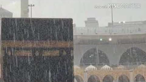 تلاوة من سورة المومنون في صلاة التراويح 18 رمضان2019