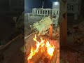 v #vairel #video #foryou #and #qatar #arbic #food🐓😋
