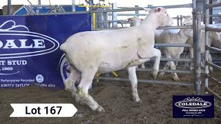Lot 167