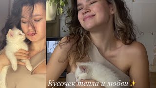 теперь mommy| взяла котёнка| ￼