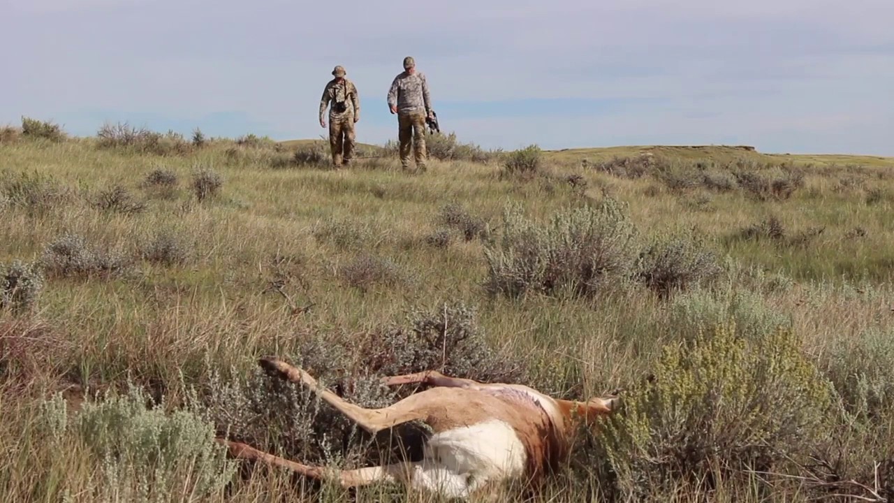 2016 South Dakota Archery Antelope Hunt Mason Teigen YouTube
