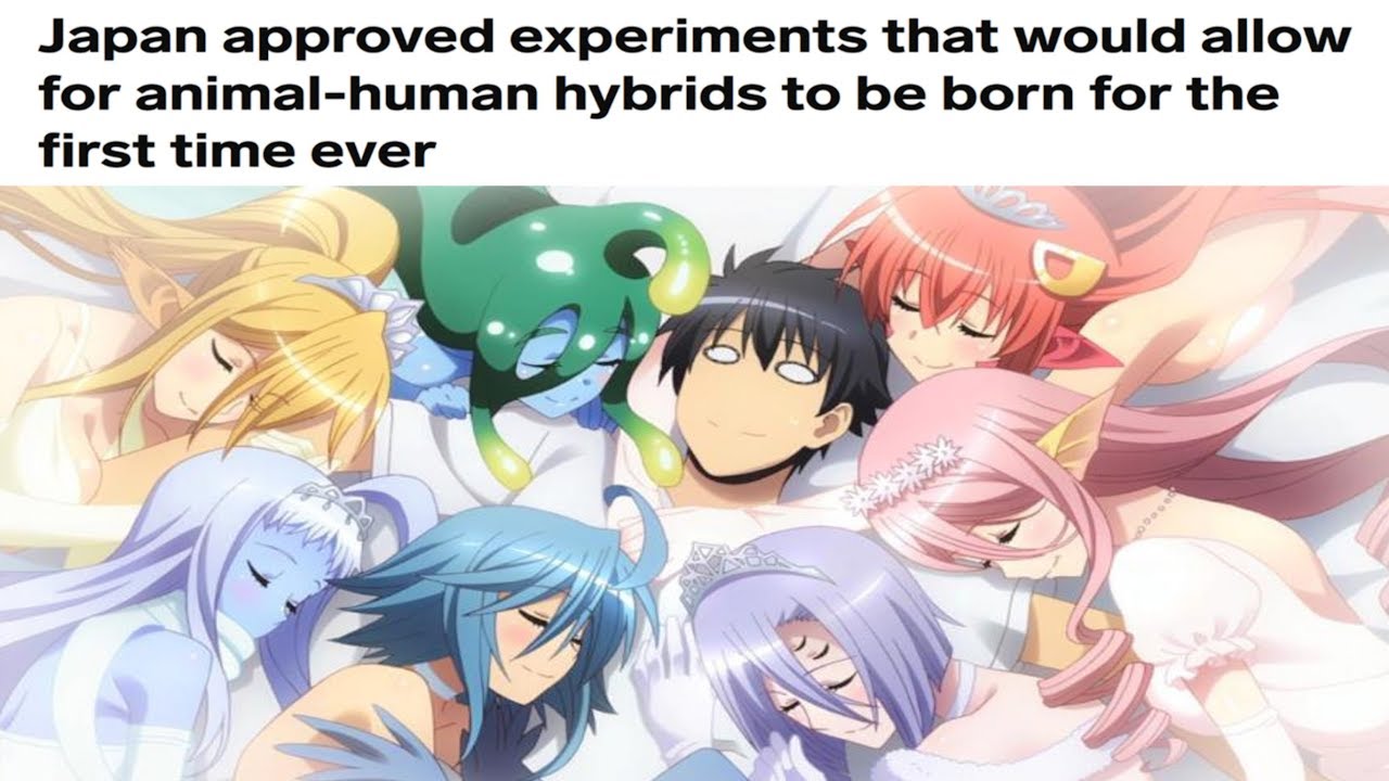Japan is creating animal-human hybrids! - YouTube