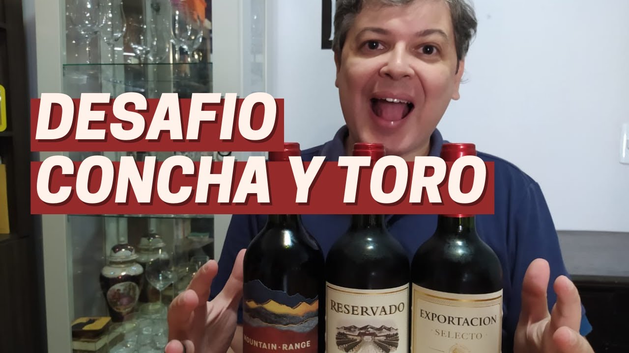 DESAFIO CONCHA Y TORO - Reservado X Exportacion x Mountain Range