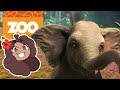 Playing With Baby Elephants?! 🦁 Zoo Tycoon: Ultimate Animal Collection • #3
