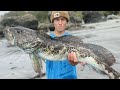 LINGCOD: Catch, Clean, n’ COOK! -Kayak Fishing- HOW TO CATCH LINGCOD and Rockfish