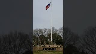 Flag detail