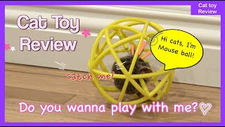 Cat toys review (Mouse ball) by Chadol's House 285 views 4 years ago 1 minute, 25 seconds