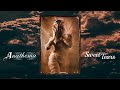 Anathema - Sweet Tears (lyric video)