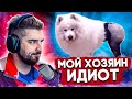 HARD PLAY СМОТРИТ ТЕСТ НА ПСИХИКУ! СМЕШНЫЕ ВИДЕО ПРИКОЛЫ 2021, COUB, TIK TOK