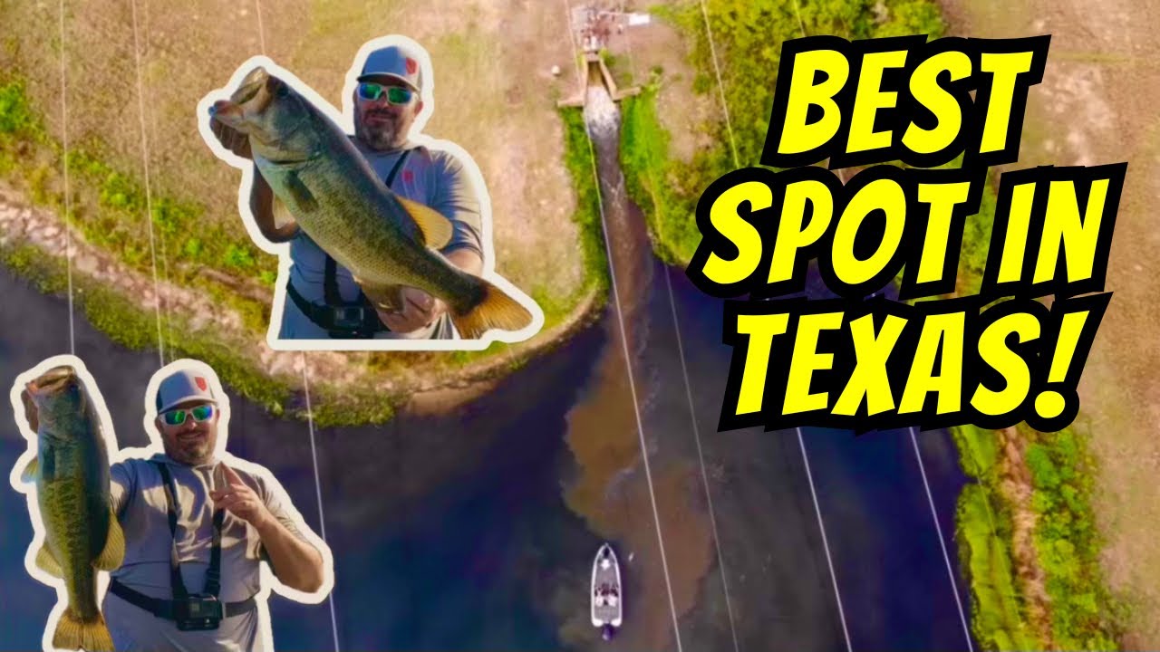 The Very Best SPOT for Summer Bass Fishing in Texas!!!