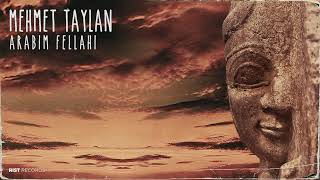 Mehmet Taylan - Arabım Fellahi (Original Mix) Resimi
