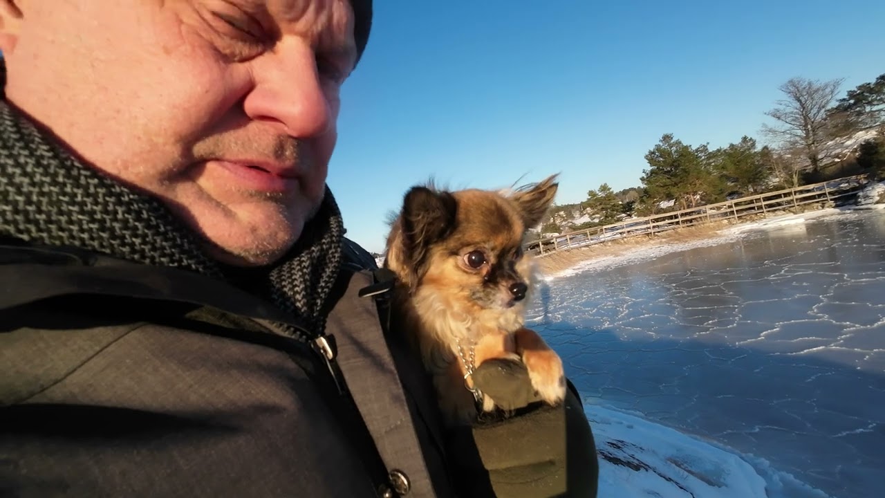 Bryggvandring i Arkösund