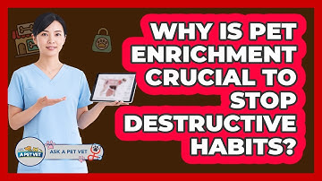 Why Is Pet Enrichment Crucial To Stop Destructive Habits? - Ask A Pet Vet