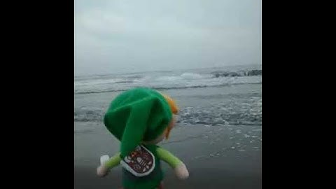 Welcome to Koholint Island, 風の魚