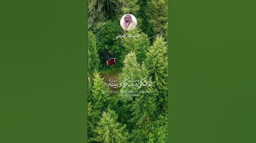 الآية 73 من سورة النساء بصوت الشيخ ماهر المعيقلي