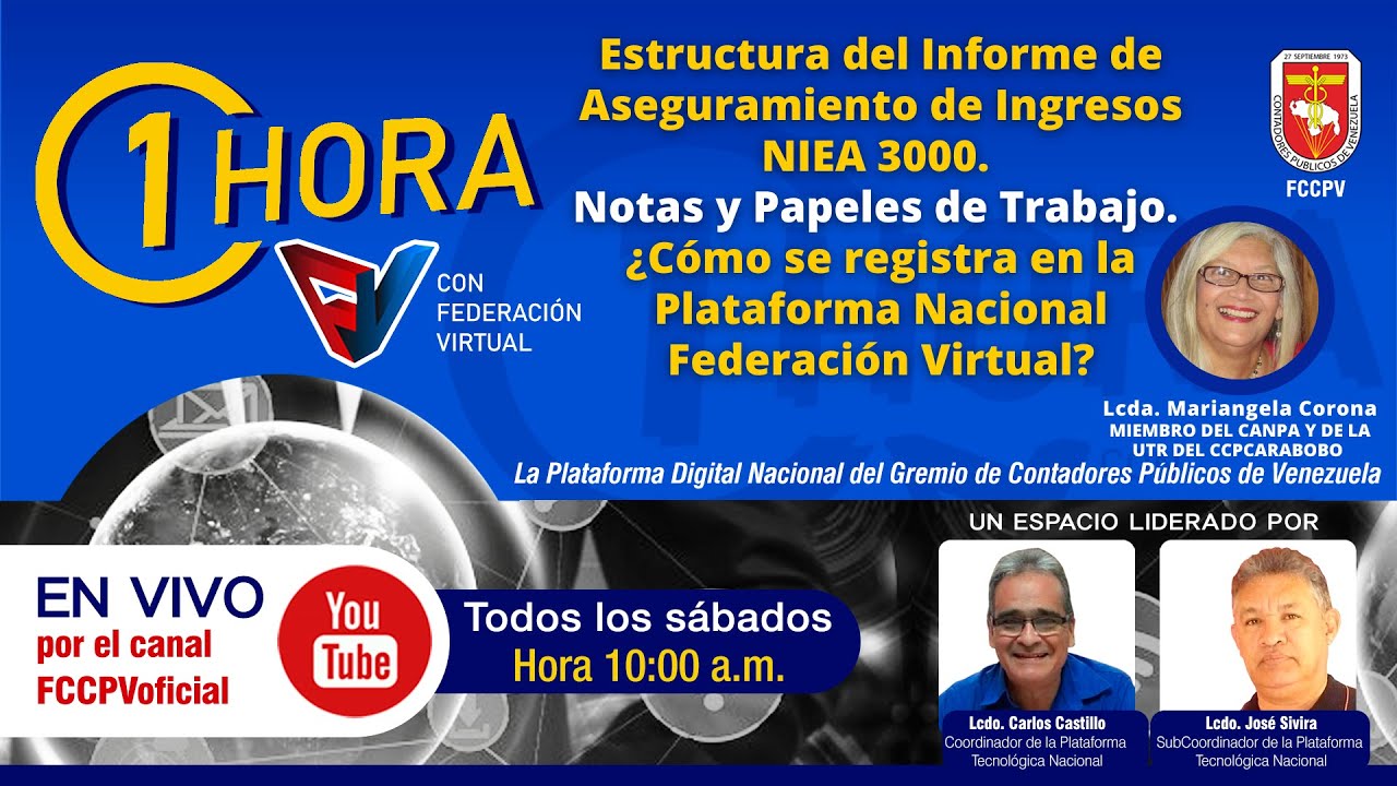 Estructura del Informe de Aseguramiento de Ingresos NIEA 3000. Notas y Papeles de Trabajo.