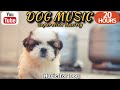 20 hours of dog calming musicanti separation anxiety relief music dog musichealingmate