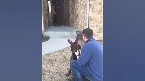 Parents Surprise Daughter with Dog she had been caring for at shelter.