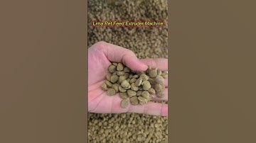 Lima Wet-type 500KG/H Fish&Pet Feed Pellet Extruder Machine | Floating Fish Feed Machine