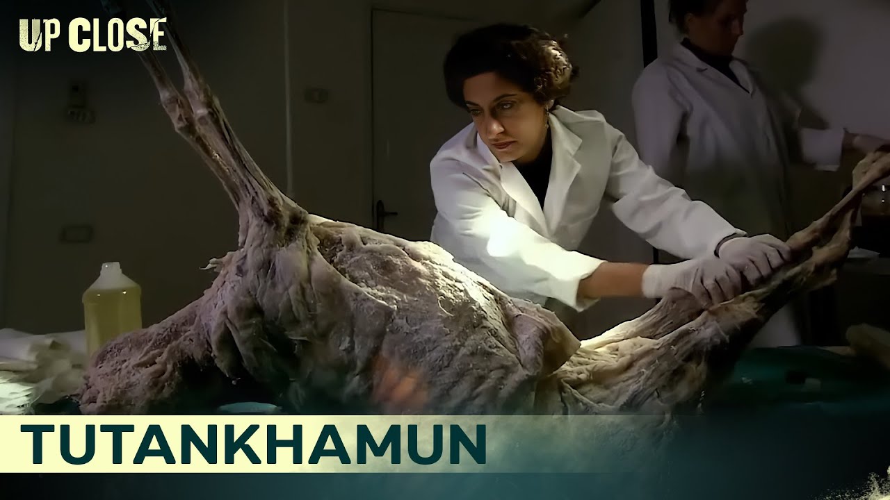Why Tutankhamun's Mummy Still Haunts Historians Today | Up Close