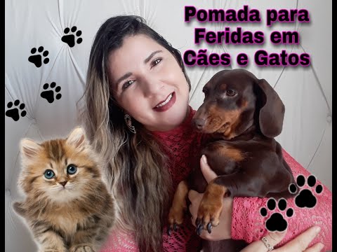 Vídeo: Como construir um cão acessível e fácil Run