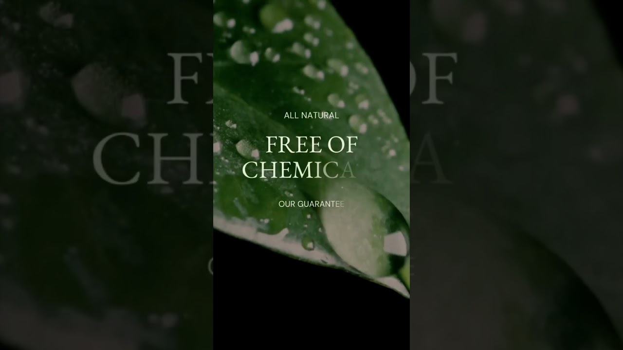 Go Chemical-Free with SaraHydra - Our All-Natural Beauty Products are Guaranteed! 🍃