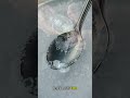 Emergency Light With Salt Water - No Battery Needed
