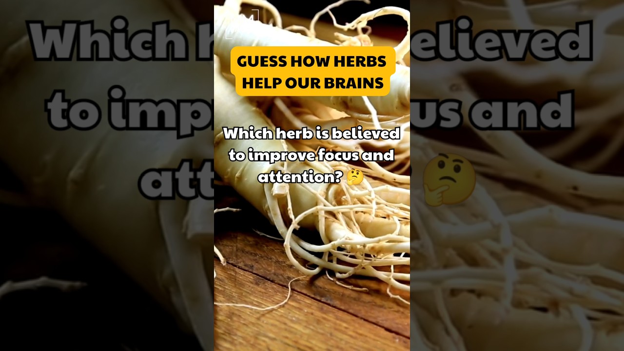 Which herb is believed to help improve focus and attention? 🫚🧠⚠️