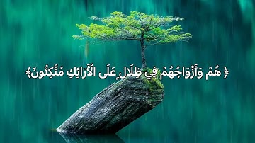 ﴿ إِنَّ أَصْحَابَ الْجَنَّةِ الْيَوْمَ فِي شُغُلٍ فَاكِهُونَ﴾الآية 55 من سورة يس القارئ ماهرالمعيقلي