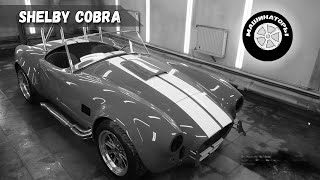 : SHELBY COBRA . .