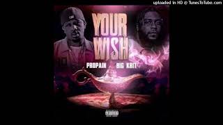 Propain ft Big K.R.I.T...Your Wish (DJ Shawne Blend God Remix)