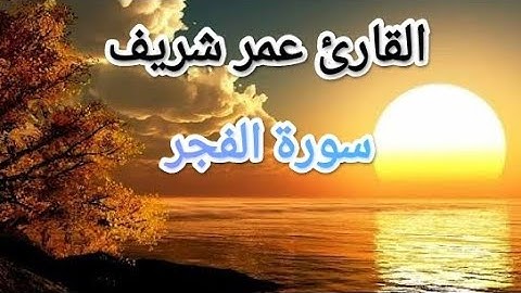 سورة الفجر / القارئ عمر شريف / تلاوة مجودة / الجزء الثلاثون #القرآن_الكريم